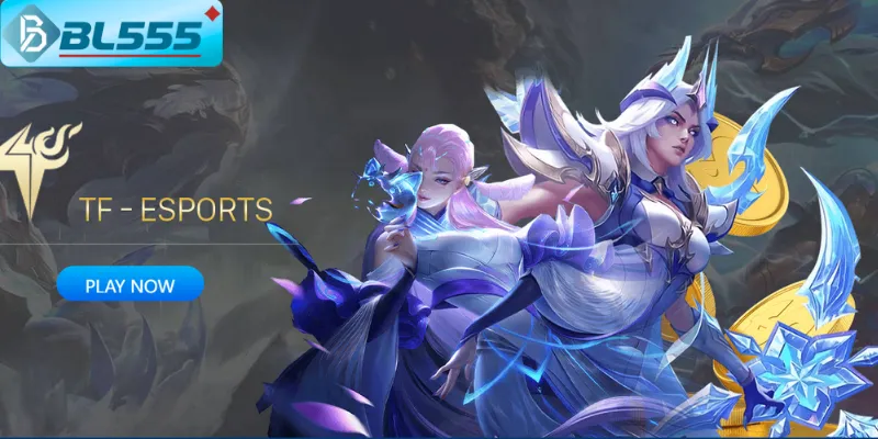 quản lý vốn Esports BL555 tăng gấp 13 lần