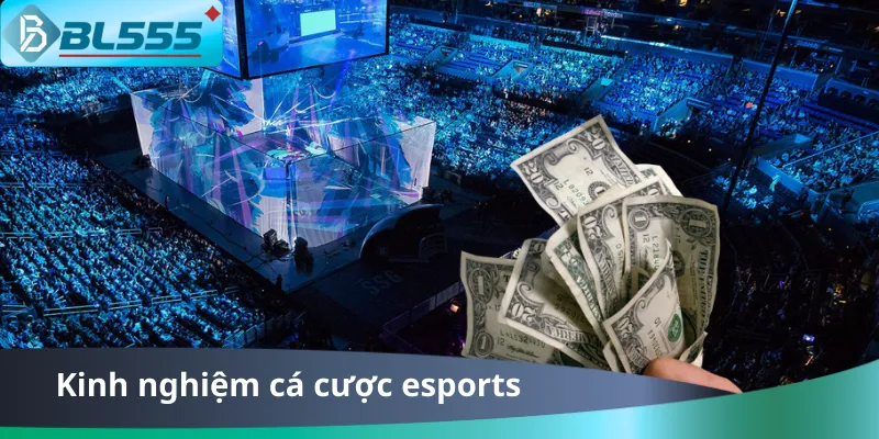 Kinh Nghiệm Cá Cược Esports BL555 - Thắng Lớn 2025 Kinh Nghiệm Cá Cược Esports